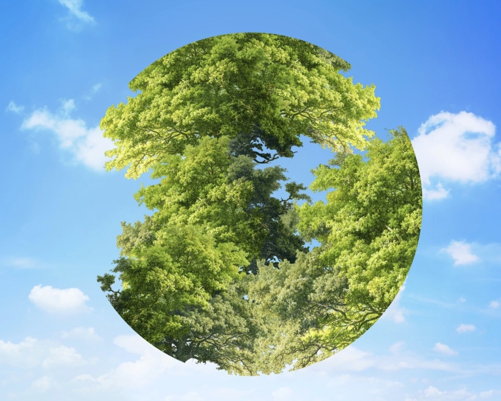 스크린샷 2025-12-24 오전 2.03.15